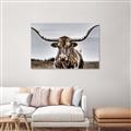 Picture of Longhorn Bull _GroupedProduct_Rectangle_Landscape_Photography _GroupedProduct_Rectangle_Landscape_Unframed_Print_Only_