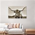 Picture of Longhorn Bull _GroupedProduct_Rectangle_Landscape_Photography _GroupedProduct_Rectangle_Landscape_Unframed_Print_Only_