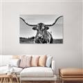 Picture of Longhorn Bull _GroupedProduct_Rectangle_Landscape_Photography _GroupedProduct_Rectangle_Landscape_Unframed_Print_Only_