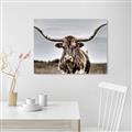 Picture of Longhorn Bull _GroupedProduct_Rectangle_Landscape_Photography _GroupedProduct_Rectangle_Landscape_Unframed_Print_Only_