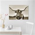 Picture of Longhorn Bull _GroupedProduct_Rectangle_Landscape_Photography _GroupedProduct_Rectangle_Landscape_Unframed_Print_Only_