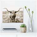 Picture of Longhorn Bull II _GroupedProduct_Rectangle_Landscape_Photography _GroupedProduct_Rectangle_Landscape_Unframed_Print_Only_