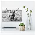 Picture of Longhorn Bull II _GroupedProduct_Rectangle_Landscape_Photography _GroupedProduct_Rectangle_Landscape_Unframed_Print_Only_