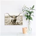 Picture of Longhorn Bull II _GroupedProduct_Rectangle_Landscape_Photography _GroupedProduct_Rectangle_Landscape_Unframed_Print_Only_