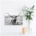 Picture of Longhorn Bull II _GroupedProduct_Rectangle_Landscape_Photography _GroupedProduct_Rectangle_Landscape_Unframed_Print_Only_