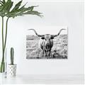 Picture of Longhorn Bull II _GroupedProduct_Rectangle_Landscape_Photography _GroupedProduct_Rectangle_Landscape_Unframed_Print_Only_