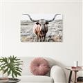 Picture of Longhorn Bull II _GroupedProduct_Rectangle_Landscape_Photography _GroupedProduct_Rectangle_Landscape_Unframed_Print_Only_