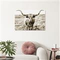 Picture of Longhorn Bull II _GroupedProduct_Rectangle_Landscape_Photography _GroupedProduct_Rectangle_Landscape_Unframed_Print_Only_