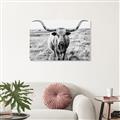 Picture of Longhorn Bull II _GroupedProduct_Rectangle_Landscape_Photography _GroupedProduct_Rectangle_Landscape_Unframed_Print_Only_