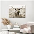 Picture of Longhorn Bull II _GroupedProduct_Rectangle_Landscape_Photography _GroupedProduct_Rectangle_Landscape_Unframed_Print_Only_