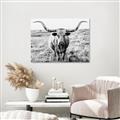 Picture of Longhorn Bull II _GroupedProduct_Rectangle_Landscape_Photography _GroupedProduct_Rectangle_Landscape_Unframed_Print_Only_