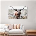Picture of Longhorn Bull II _GroupedProduct_Rectangle_Landscape_Photography _GroupedProduct_Rectangle_Landscape_Unframed_Print_Only_