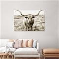 Picture of Longhorn Bull II _GroupedProduct_Rectangle_Landscape_Photography _GroupedProduct_Rectangle_Landscape_Unframed_Print_Only_