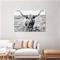 Picture of Longhorn Bull II _GroupedProduct_Rectangle_Landscape_Photography _GroupedProduct_Rectangle_Landscape_Unframed_Print_Only_