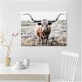 Picture of Longhorn Bull II _GroupedProduct_Rectangle_Landscape_Photography _GroupedProduct_Rectangle_Landscape_Unframed_Print_Only_