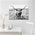 Picture of Longhorn Bull II _GroupedProduct_Rectangle_Landscape_Photography _GroupedProduct_Rectangle_Landscape_Unframed_Print_Only_