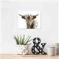 Picture of Maggie, the Cow  _GroupedProduct_Rectangle_Landscape_Photography _GroupedProduct_Rectangle_Landscape_Unframed_Print_Only_