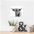 Picture of Maggie, the Cow  _GroupedProduct_Rectangle_Landscape_Photography _GroupedProduct_Rectangle_Landscape_Unframed_Print_Only_
