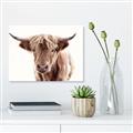 Picture of Maggie, the Cow  _GroupedProduct_Rectangle_Landscape_Photography _GroupedProduct_Rectangle_Landscape_Unframed_Print_Only_
