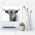 Picture of Maggie, the Cow  _GroupedProduct_Rectangle_Landscape_Photography _GroupedProduct_Rectangle_Landscape_Unframed_Print_Only_