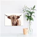 Picture of Maggie, the Cow  _GroupedProduct_Rectangle_Landscape_Photography _GroupedProduct_Rectangle_Landscape_Unframed_Print_Only_
