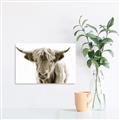 Picture of Maggie, the Cow  _GroupedProduct_Rectangle_Landscape_Photography _GroupedProduct_Rectangle_Landscape_Unframed_Print_Only_