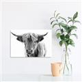 Picture of Maggie, the Cow  _GroupedProduct_Rectangle_Landscape_Photography _GroupedProduct_Rectangle_Landscape_Unframed_Print_Only_