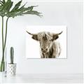 Picture of Maggie, the Cow  _GroupedProduct_Rectangle_Landscape_Photography _GroupedProduct_Rectangle_Landscape_Unframed_Print_Only_