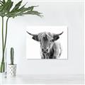 Picture of Maggie, the Cow  _GroupedProduct_Rectangle_Landscape_Photography _GroupedProduct_Rectangle_Landscape_Unframed_Print_Only_