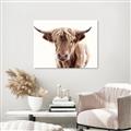 Picture of Maggie, the Cow  _GroupedProduct_Rectangle_Landscape_Photography _GroupedProduct_Rectangle_Landscape_Unframed_Print_Only_