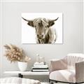 Picture of Maggie, the Cow  _GroupedProduct_Rectangle_Landscape_Photography _GroupedProduct_Rectangle_Landscape_Unframed_Print_Only_