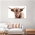 Picture of Maggie, the Cow  _GroupedProduct_Rectangle_Landscape_Photography _GroupedProduct_Rectangle_Landscape_Unframed_Print_Only_