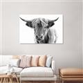 Picture of Maggie, the Cow  _GroupedProduct_Rectangle_Landscape_Photography _GroupedProduct_Rectangle_Landscape_Unframed_Print_Only_
