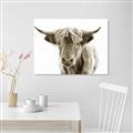 Picture of Maggie, the Cow  _GroupedProduct_Rectangle_Landscape_Photography _GroupedProduct_Rectangle_Landscape_Unframed_Print_Only_