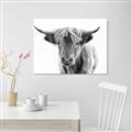 Picture of Maggie, the Cow  _GroupedProduct_Rectangle_Landscape_Photography _GroupedProduct_Rectangle_Landscape_Unframed_Print_Only_