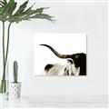Picture of Max, the Bull _GroupedProduct_Rectangle_Landscape_Photography _GroupedProduct_Rectangle_Landscape_Unframed_Print_Only_