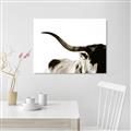 Picture of Max, the Bull _GroupedProduct_Rectangle_Landscape_Photography _GroupedProduct_Rectangle_Landscape_Unframed_Print_Only_