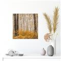 Picture of Mustard Forest _GroupedProduct_Square_Photography _GroupedProduct_Square_Unframed_Print_Only_