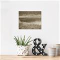 Picture of Mustard Grass Lake _GroupedProduct_Rectangle_Landscape_Photography _GroupedProduct_Rectangle_Landscape_Unframed_Print_Only_