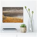 Picture of Mustard Grass Lake _GroupedProduct_Rectangle_Landscape_Photography _GroupedProduct_Rectangle_Landscape_Unframed_Print_Only_