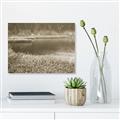 Picture of Mustard Grass Lake _GroupedProduct_Rectangle_Landscape_Photography _GroupedProduct_Rectangle_Landscape_Unframed_Print_Only_