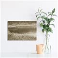 Picture of Mustard Grass Lake _GroupedProduct_Rectangle_Landscape_Photography _GroupedProduct_Rectangle_Landscape_Unframed_Print_Only_