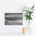Picture of Mustard Grass Lake _GroupedProduct_Rectangle_Landscape_Photography _GroupedProduct_Rectangle_Landscape_Unframed_Print_Only_