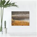 Picture of Mustard Grass Lake _GroupedProduct_Rectangle_Landscape_Photography _GroupedProduct_Rectangle_Landscape_Unframed_Print_Only_
