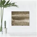 Picture of Mustard Grass Lake _GroupedProduct_Rectangle_Landscape_Photography _GroupedProduct_Rectangle_Landscape_Unframed_Print_Only_