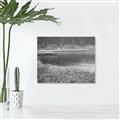 Picture of Mustard Grass Lake _GroupedProduct_Rectangle_Landscape_Photography _GroupedProduct_Rectangle_Landscape_Unframed_Print_Only_
