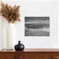 Picture of Mustard Grass Lake _GroupedProduct_Rectangle_Landscape_Photography _GroupedProduct_Rectangle_Landscape_Unframed_Print_Only_