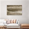 Picture of Mustard Grass Lake _GroupedProduct_Rectangle_Landscape_Photography _GroupedProduct_Rectangle_Landscape_Unframed_Print_Only_