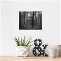 Picture of Mysterious Woods  _GroupedProduct_Rectangle_Landscape_Photography _GroupedProduct_Rectangle_Landscape_Unframed_Print_Only_