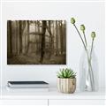 Picture of Mysterious Woods  _GroupedProduct_Rectangle_Landscape_Photography _GroupedProduct_Rectangle_Landscape_Unframed_Print_Only_